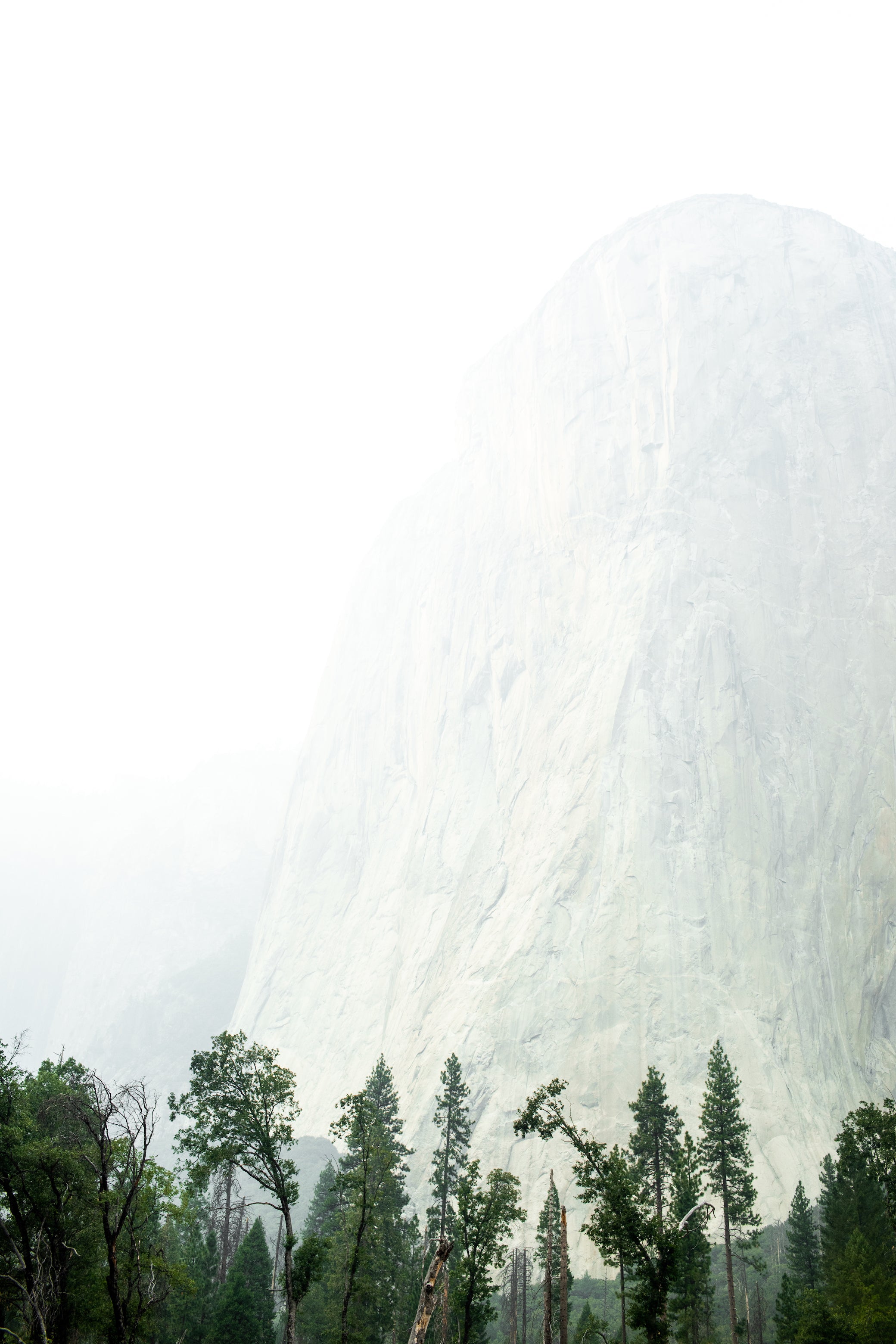 Yosemite Print by Emily Nathan